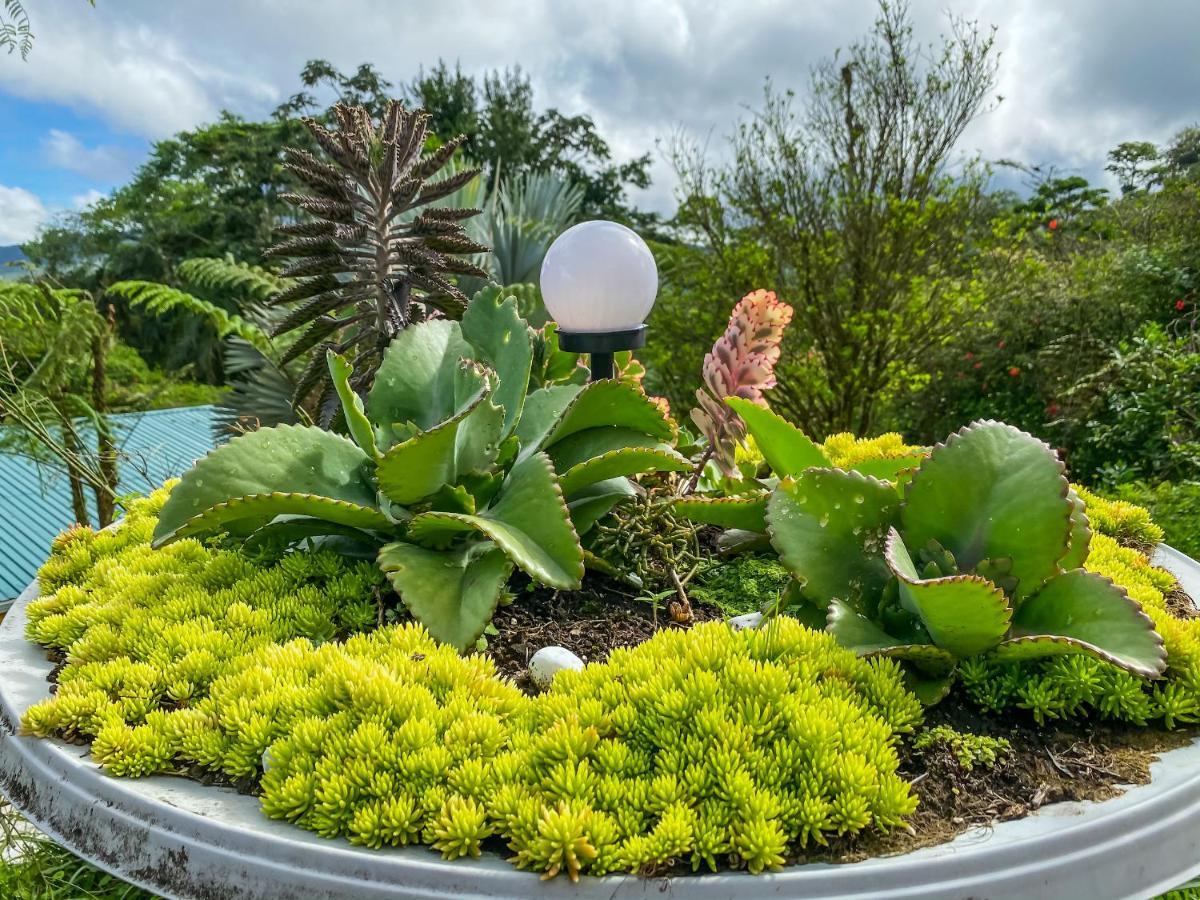 Retiro Del Lago Arenal Lodge El Castillo エクステリア 写真